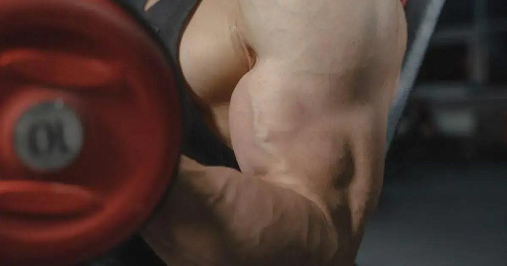 Como ganhar massa muscular rapidamente: 12 dicas comprovadas pela ciência que você está ignorando